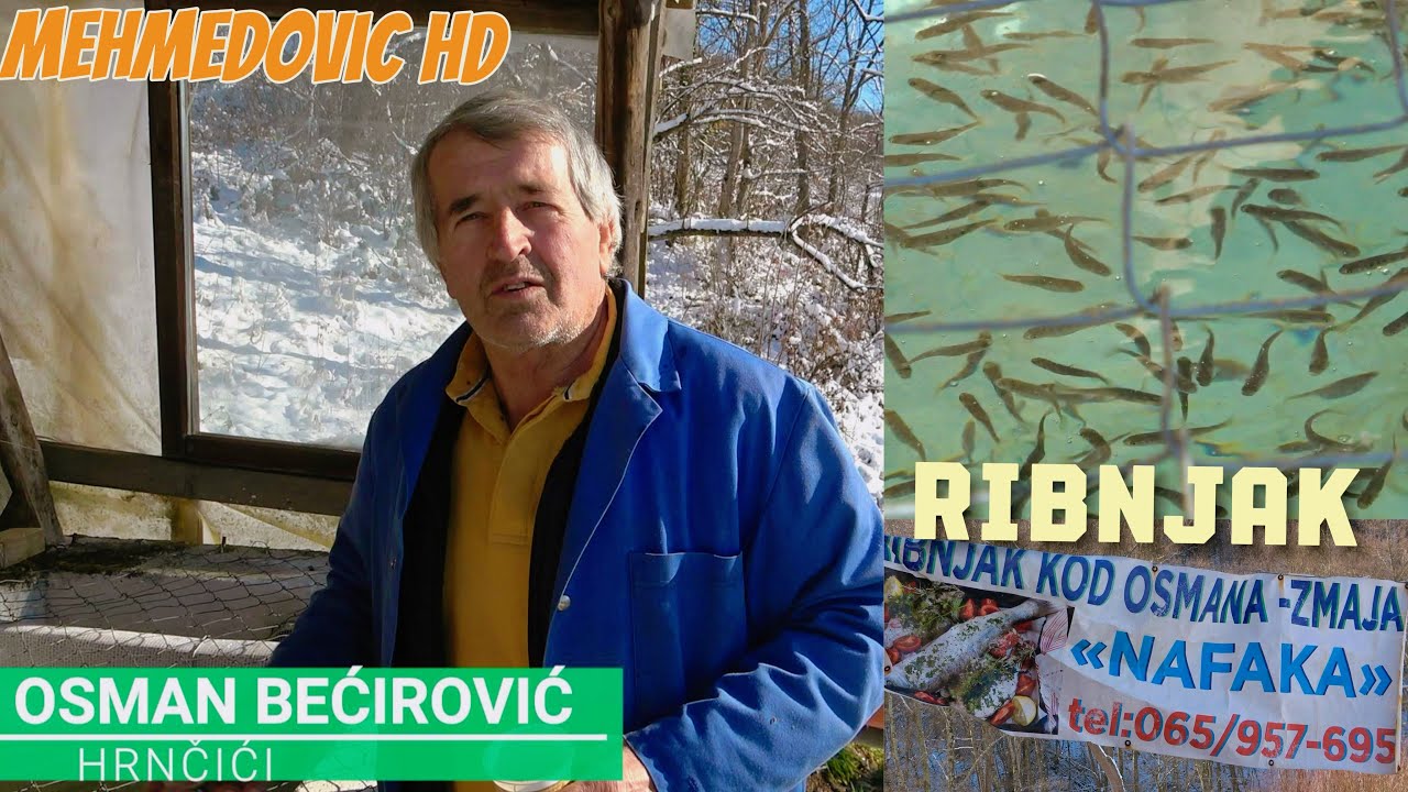 UZGOJ PASTRMKE, OD JAJETA DO PORCIJE / PRIJE SAM NAPRAVIO KUĆU NA VODI NEGO VUČIĆ BEOGRAD NA VODI