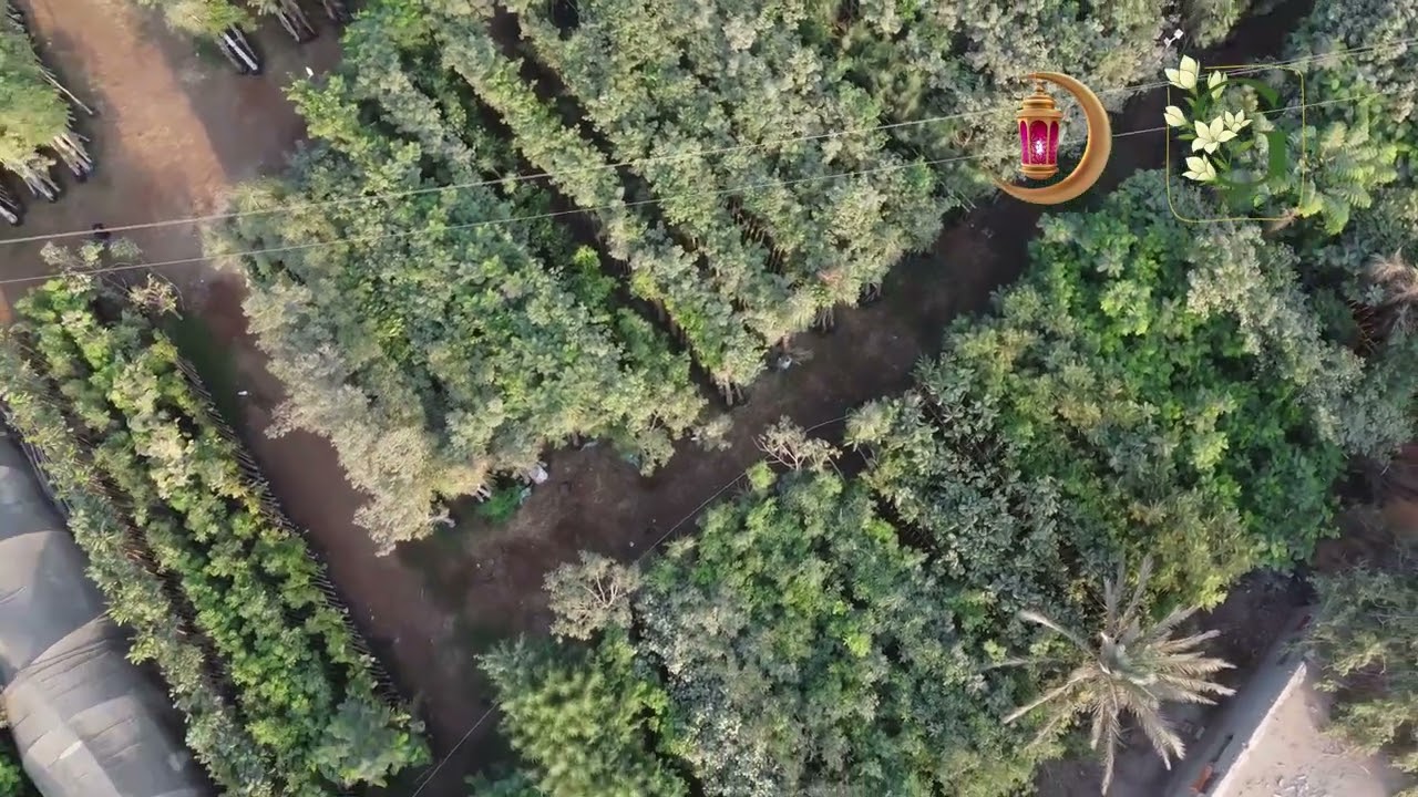 رمضان أحلى مع جرين جاردن