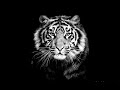 Gqom Mix (Woza weekend Edition) @UWC By KingMasbi 16 Aug 2018 Mp3