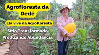 Agrofloresta da Dedé. Sítio foi transformado. Ela vive da Agrofloresta