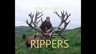 NEW ZEALAND RIPPERS, A NewZealand Red Stag Hunting Film