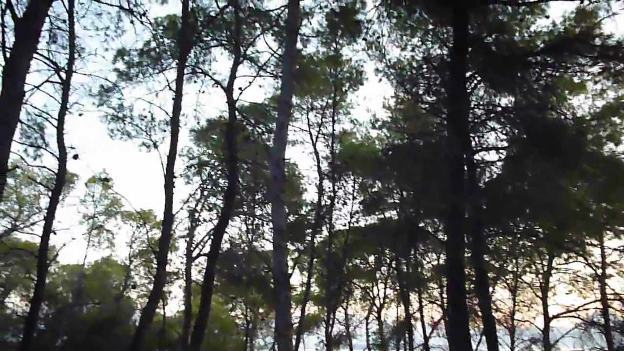 Summer dreaming gathering (14-15-16/7) -DJ Jordan Magic dawn