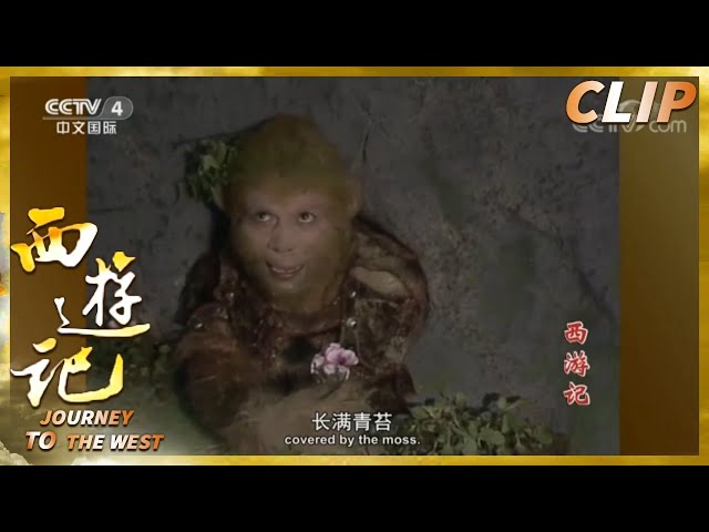 玉皇大帝搬救兵！如来佛祖出手压制孙悟空《西游记》第4集【CCTV电视剧