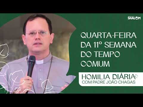 Homilia da Quarta-feira da 11º Semana do Tempo Comum | Pe. João Chagas | 17/06/2026