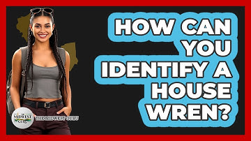 How Can You Identify A House Wren?