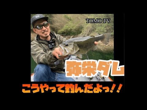 弥栄ダム バス釣り 4月下旬 春の弥栄湖 こうやって釣んだよっ Youtube 弥栄ダム バス釣り 4月下旬 春の弥栄湖 こうやって釣んだよっ Youtube
