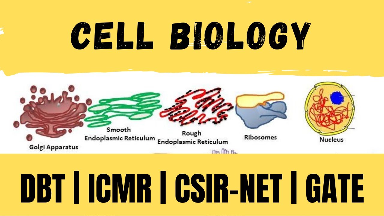 cell biology csir net life science - YouTube