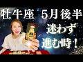 おうし座♉️5月後半｜迷わず進む時！ここから一気に展開が変わる！✨