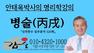 병술(丙戌)일주분석-(신의한수 일주분석)-갑술명리학-안태옥 박사의 사주팔자 명강의