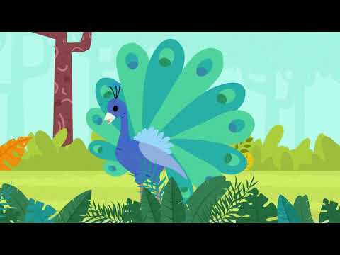 أغنية حرف ط طاووس 