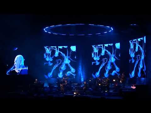 Peter Gabriel - Olive Tree (2023.05.18 Krakow, Poland, Tauron Arena)- Live Debut.