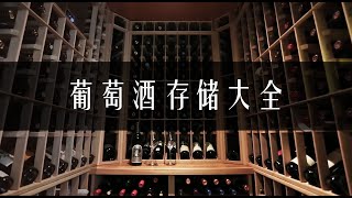 【诗洋品酒生活】葡萄酒存储大全   存放葡萄酒对环境有什么要求Everything to Know About Wine Storage (CHN)