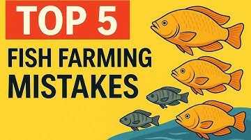 "5 Deadly Fish Farming Mistakes Killing Your Profits!!