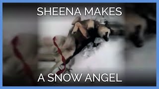 Sheena makes a snow angel