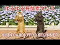 初心者向け!ゆるゆる有酸素ダンス😸