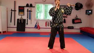 Martial Arts - Nunchucks - Form #3