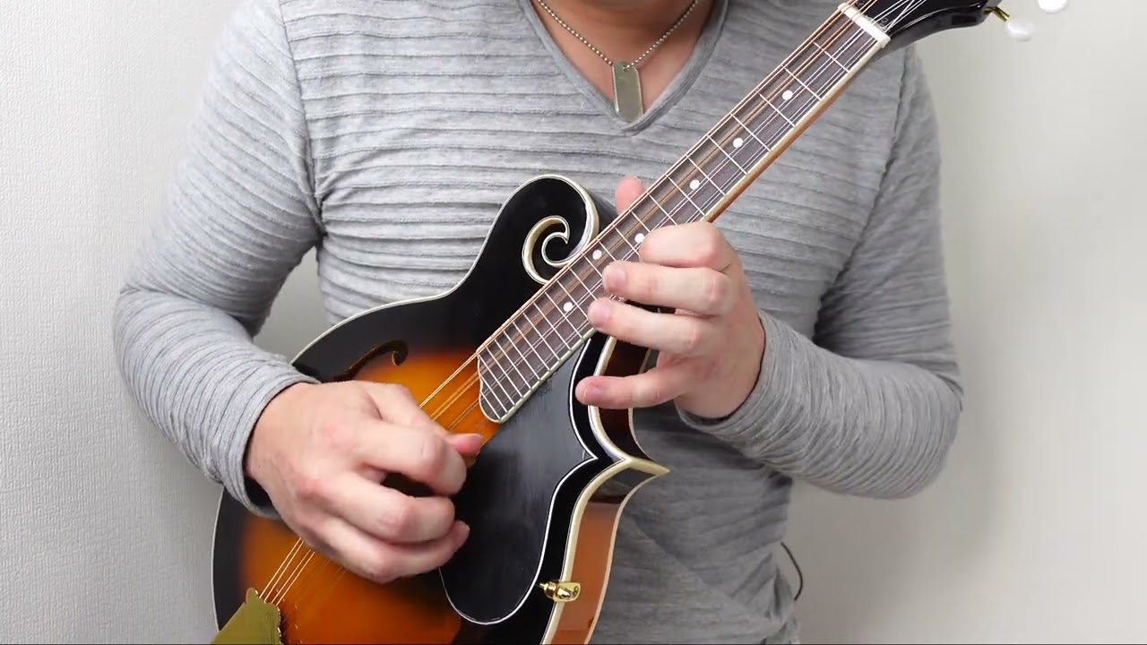 tab】Arkansas Traveler【practice for Irish mandolin/マンドリン練習