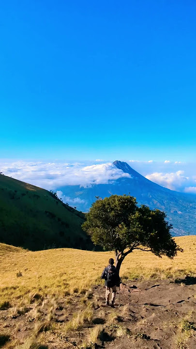 Keindahan alam #dangdut #nature #wisata #pemandanganpedesaan #explore #traveling ##shorts