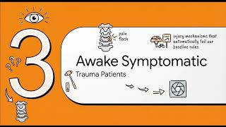 Greenberg Neurosurgery Lecture Series|Ch 69 Part 3|Radiological evaluation,C-spine immobilization 1