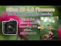 Nikon Z9 Fimware 4.0 and the Amazing Auto Capture Feature