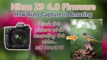 Nikon Z9 Fimware 4.0 and the Amazing Auto Capture Feature