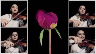 Vivaldi - Primavera “Birdsong”