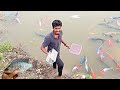 Collecting indian river fishes using net     