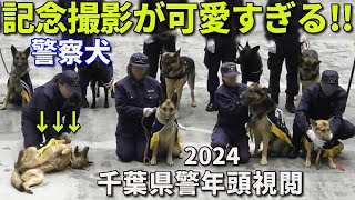 警察犬の記念撮影がメチャかわいいww 千葉県警年頭視閲2024 Chiba Pref. Police K-9 New Year Ceremony