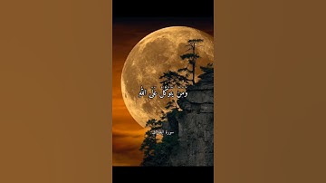 وَمَن يَتَّقِ اللَّهَ يَجْعَل لَّهُ مَخْرَجًا || سورة الطلاق || علي جابر