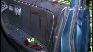 Хабаровчанин ранил ножом собаку своего друга. MestoproTV Хабаровчанин ранил ножом собаку своего друга. MestoproTV
