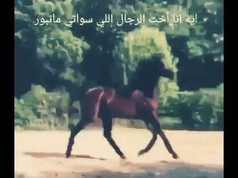 فيني شموخ من شموخ أبووي وطيبه من طيبةة أأمي وشرف وعزه من وطنني