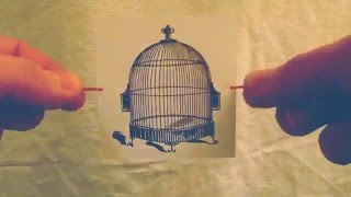 Thaumatrope Trompe-L'Oeil optical toy cards demo video