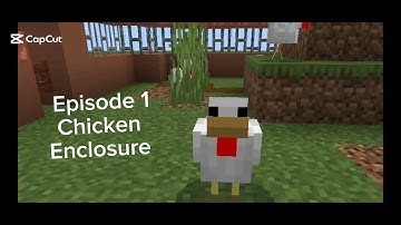 Chicken Enclosure|Let