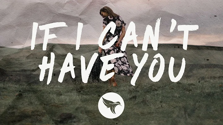 Shawn Mendes - If I Can't Have You (Lyrics) Gryffi...