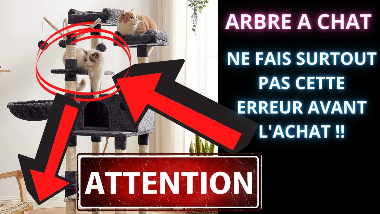 Comment et quel Arbre à Chat choisir en 2023 ? TOP 5 des meilleurs ! test Conseils & tuto qualité