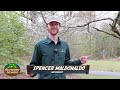 Native Tree Planting at Trap Pond State Park