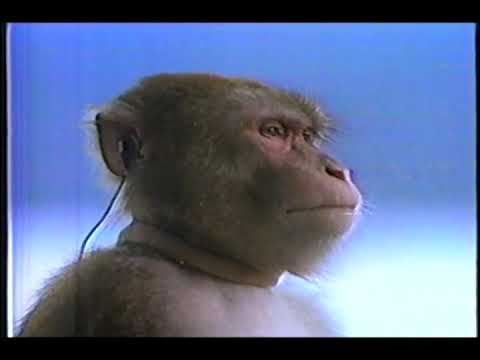 1988 Sony Walkman Commercial