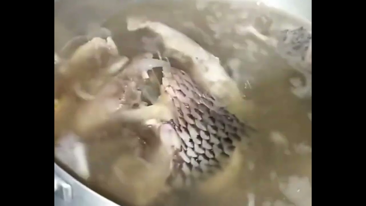 ต้มยำปลานิลใบมะขามอ่อนค่ะ@ประดิษฐ์ขาย สู่ทำ