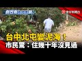 全球氣候異常與災害