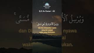 Tadabbur Quran Surat Az Zumar ayat 42 by Misyari Rasyid