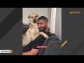 Couple decides to get one dog. Boyfriend comes back with two