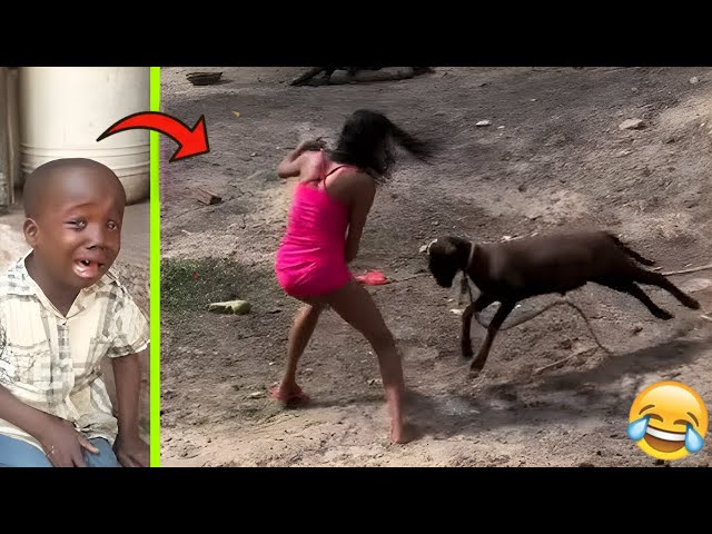 Crazy Funniest Videos Ever In The World! (try not to laugh 56)