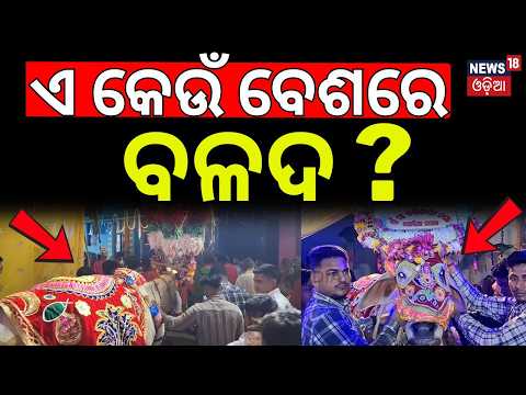 Famous Bullock Festival in Bhuvan | Centuries-Old Tradition Celebrates Human-Animal Bond | Odia News