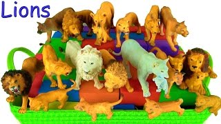 Learn about Lions - Wild Animals 🌋Schleich Volcano erupts - What's in the box? - Big Cat Week 2017 Learn about Lions - Wild Animals 🌋Schleich Volcano erupts - What's in the box? - Big Cat Week 2017