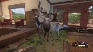 (live)Great One On The Map!!!!!What do i shoot it with???GO Fallow Grind!!|theHunter COTW