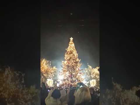 Το φαντασμαγορικό άναμμα του χριστουγεννιάτικου δέντρου στην Αθήνα