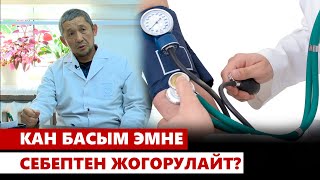 Кан басым эмне себептен жогорулайт?