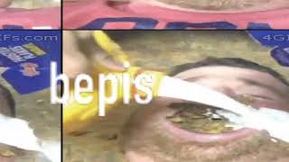 bepis