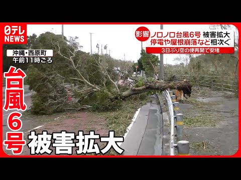 【ノロノロ台風6号】人も物も“停滞”で影響拡大  都内の店「材料が届かない」