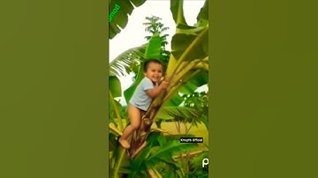 Adaadu adaadu song | Aadadu aadadu song | Adadu adadu song | Aadaadu aadaadu song | Oonjal aattam